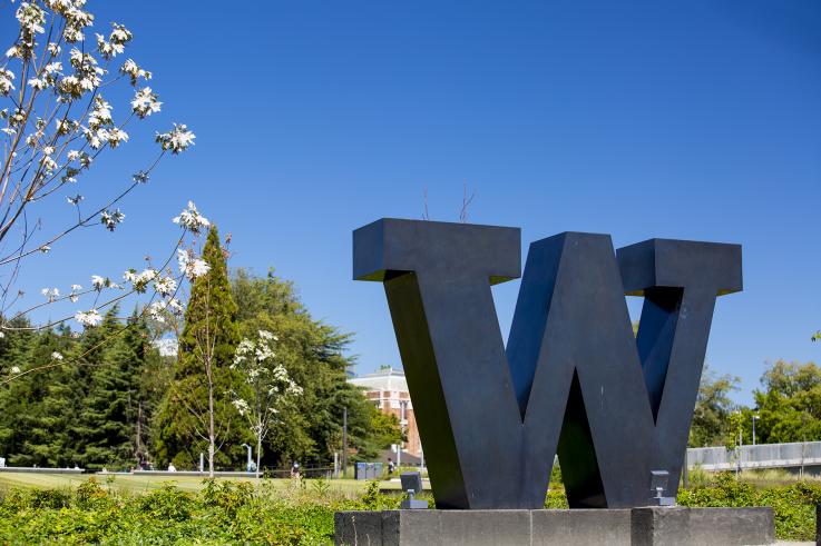 Photo of UW's Rainier Vista