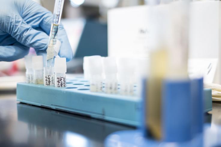 Photo of a pathobiology lab at Fred Hutchinson Cancer Research Center in Seattle, WA