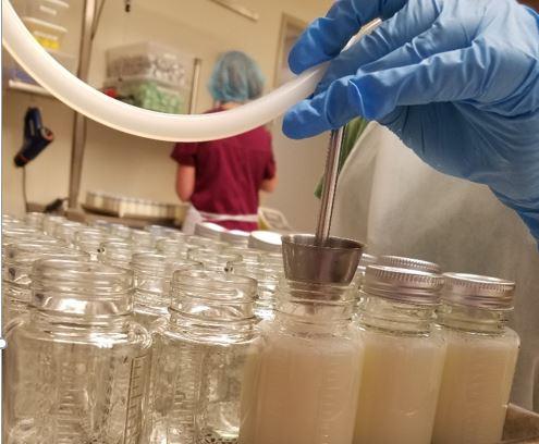 Donor human milk being homogenized prior to pasteurization Photo: NWMMB 